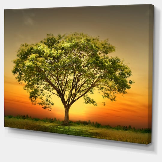 Designart - Green Tree against Setting Sun